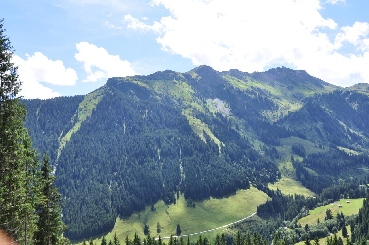Alpehytte Almhuette Lengau